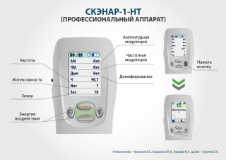 СКЭНАР-1-НТ (исполнение 01)  в Протвино купить Медицинская техника - denasosteo.ru 